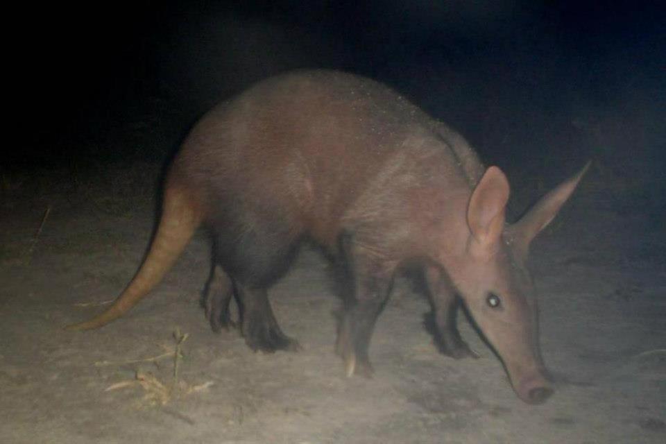 Thakadu Bush Camp Villa Ghanzi ภายนอก รูปภาพ